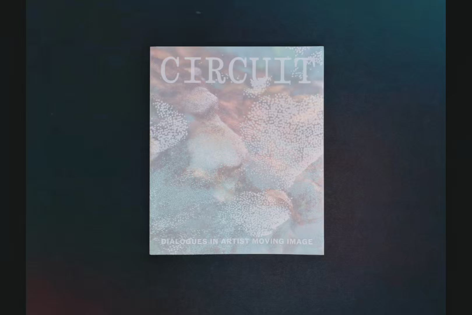 CIRCUIT: Dialogues in Artist Moving Image